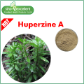 Hierba china Huperzine A serrata extracto Huperzine-A